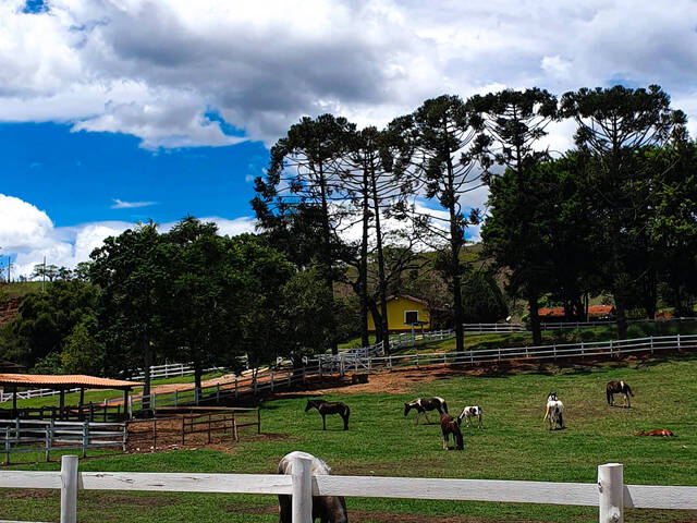 #164 - Haras para Venda em Lagoinha - SP